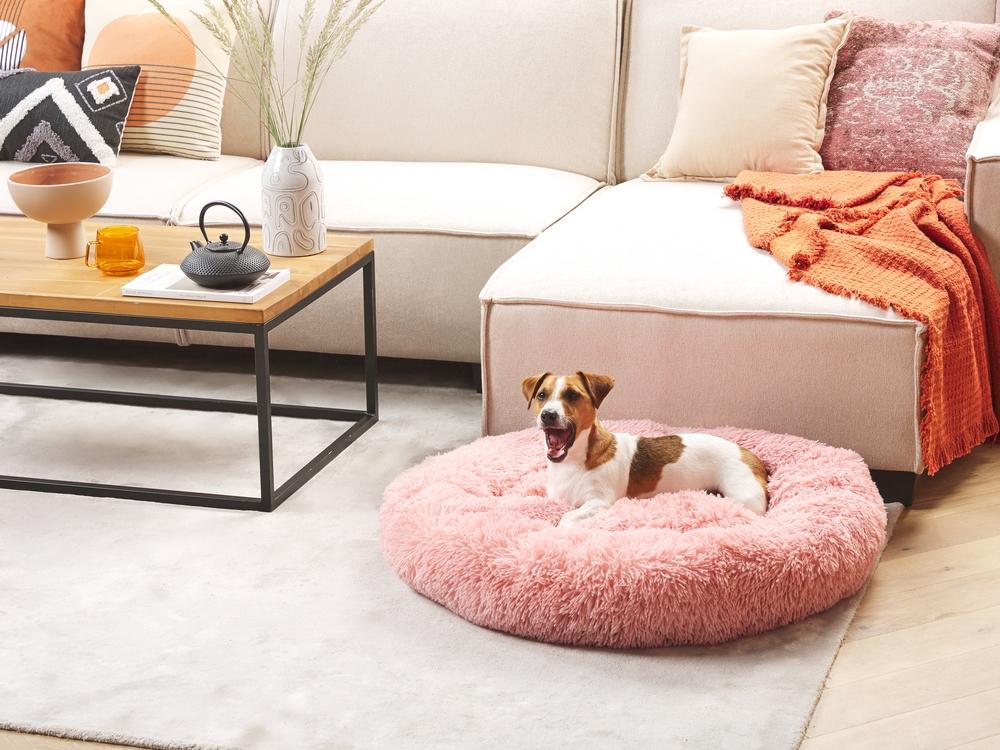 Fluffy pink dog bed online