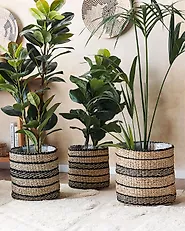 Lot de 3 pots de fleurs RASBORA 35/31/27 cm Herbier marin Noir_1178816