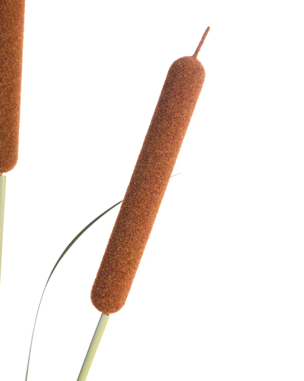 Pianta artificiale BULRUSH 135 cm Verde_1103918