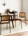 Esszimmerstuhl 2er Set CORVALLIS Polyrattan Braun