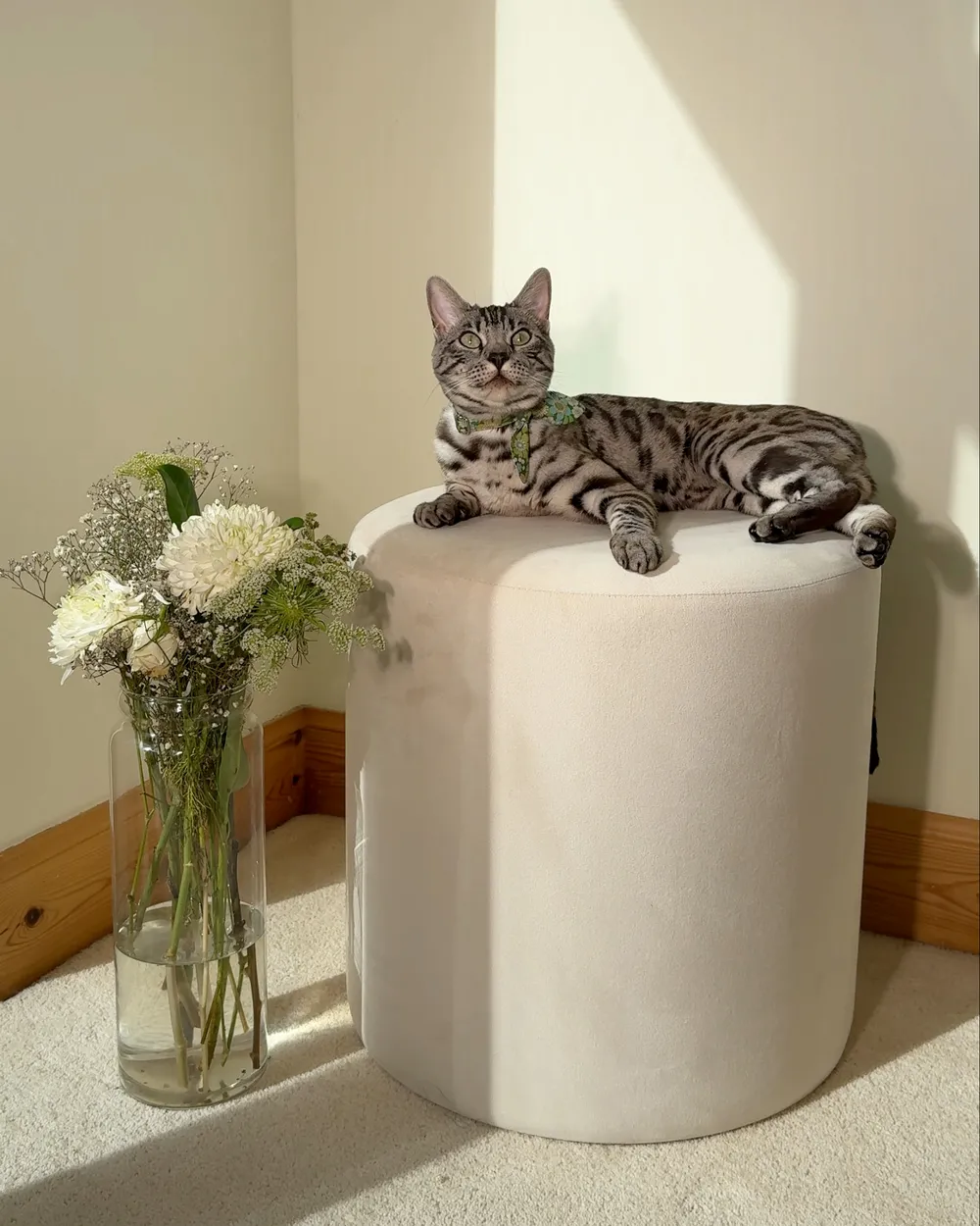 Pouffe LOVETT Velvet Light Beige_1019714