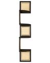 4 Tier Corner Wall Shelf Black ALDER_935020