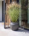 Plant Pot MACEDON 45 cm Dark Green