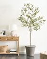 Sztuczna roślina OLIVE TREE 178 cm Zielony