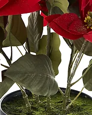 Pianta artificiale CHRISTMAS FLOWER 61 cm Rosso_1174969