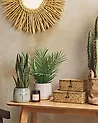 Artificial Plant SNAKE PLANT 40 cm Green