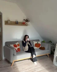 Canapea extensibilă ASAA Gri_1193876