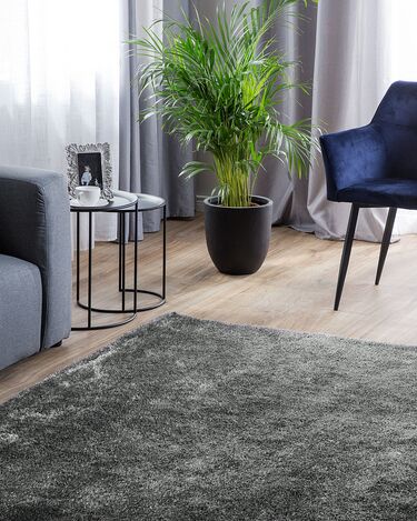 Shaggy Area Rug 200 x 300 cm Dark Grey DEMRE