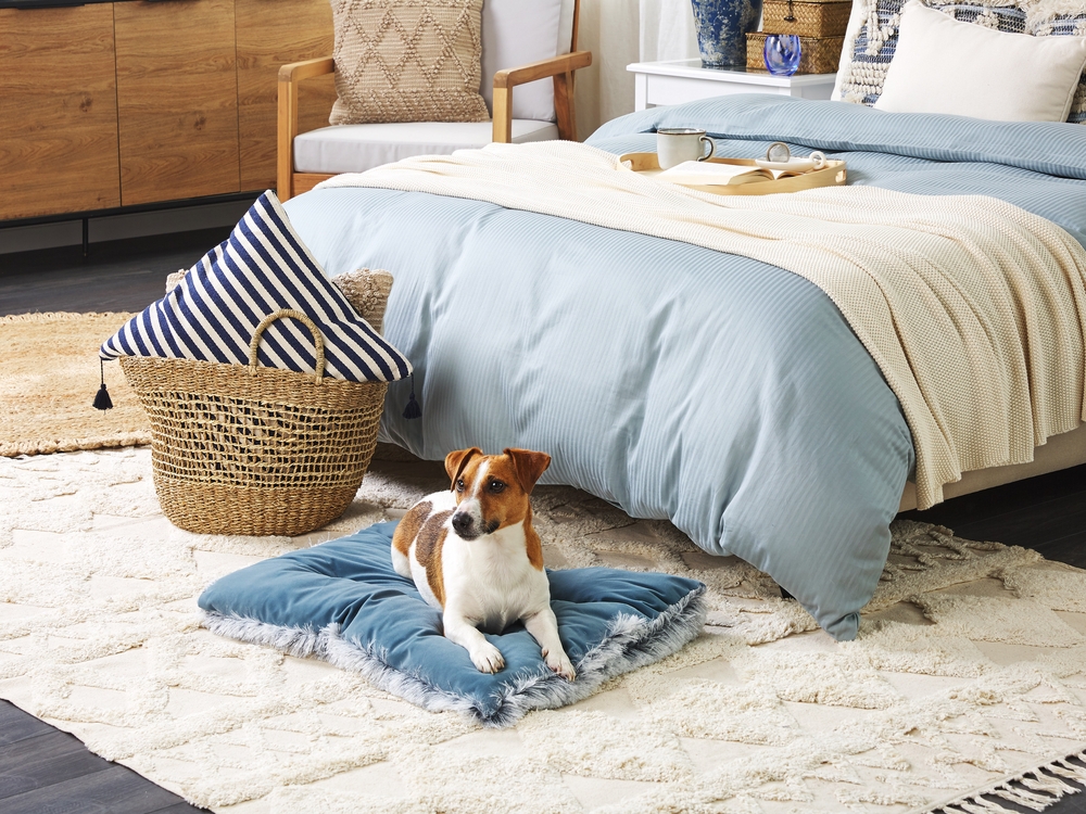 Blue velvet dog bed shop
