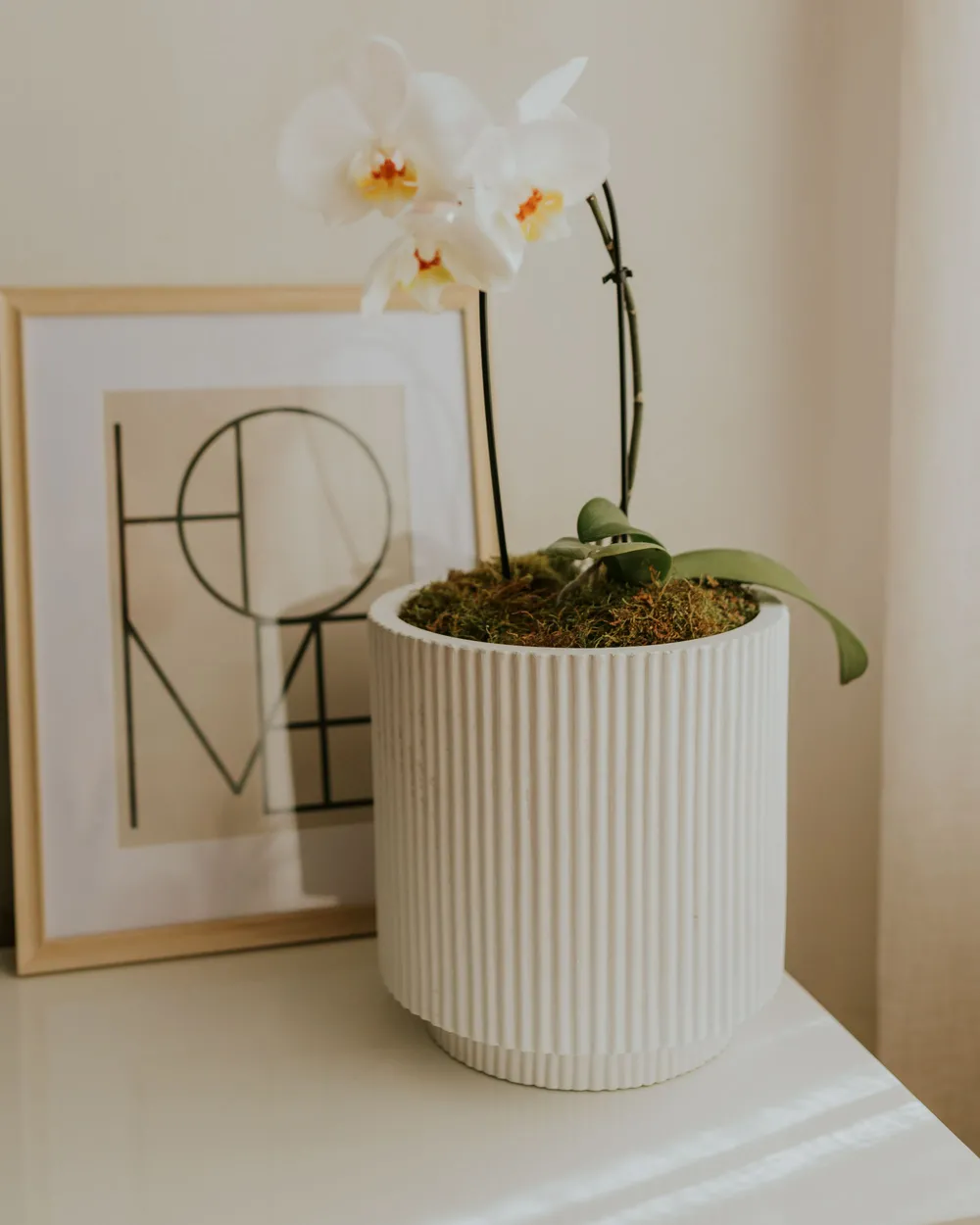 black white plant pot Planter Pot 6