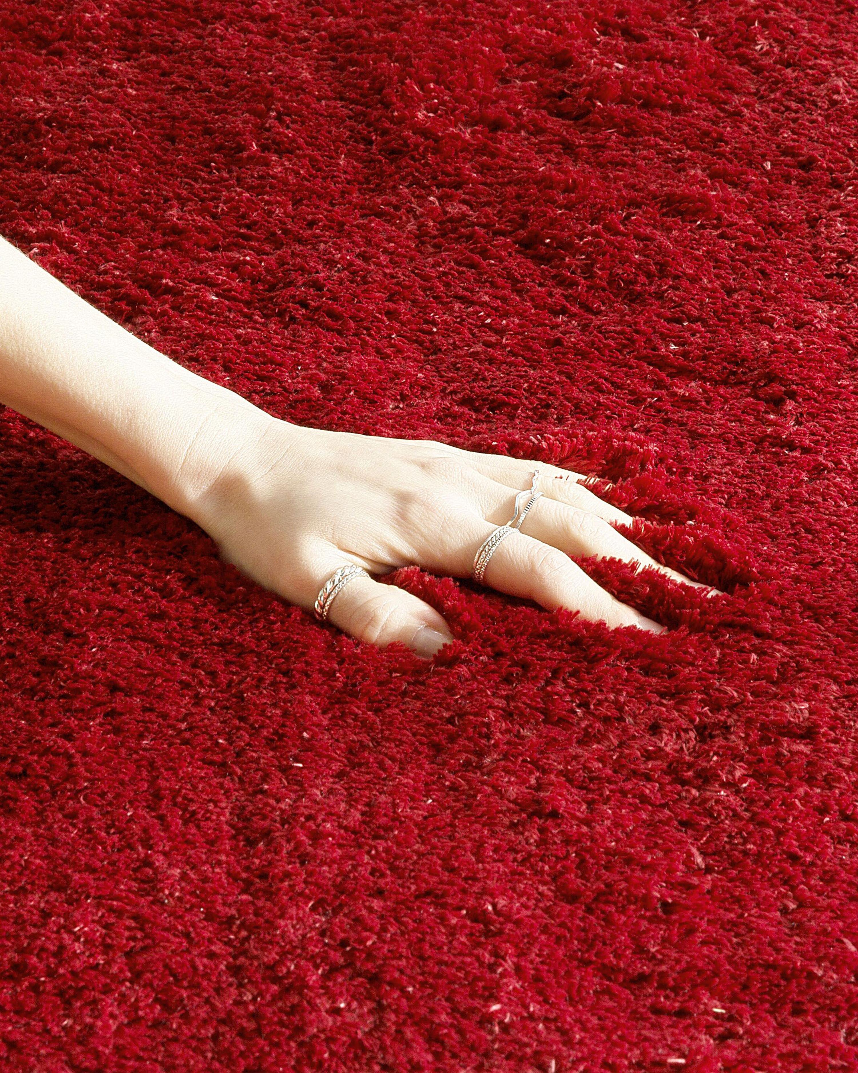 Tapis à poils longs EVREN Rouge 80 x 150 cm_758804