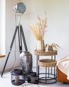 Floor Lamp Black ALZETTE_848402