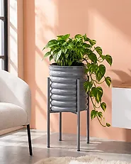 Donica na nóżkach SESLERIA 31 cm Metal Ciemnoszary_1190742