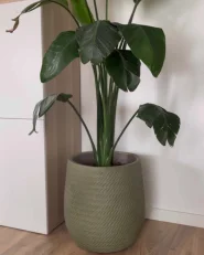 Cache-pot LIVADIA 27 cm Vert olive_1172318