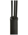 5 Light Metal Floor Lamp Black ANBESA_818269