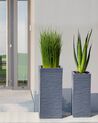 Plant Pot 26 x 26 x 60 cm Grey DION_935747