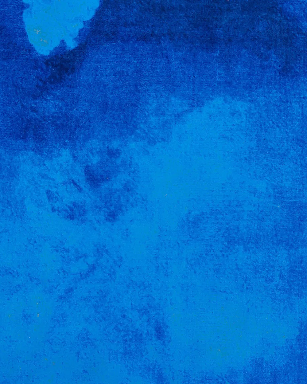Rug ODALAR Blue 80 x 150 cm_755378