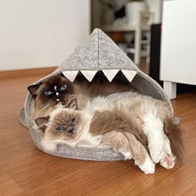 Para amantes de los animales