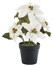 Pianta artificiale CHRISTMAS FLOWER 61 cm Bianco_1174958