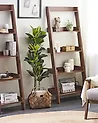5 Tier Shelving Unit MOBILE TRIO 167 cm Dark Brown