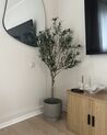 Artificial Potted Plant 153 cm OLIVE TREE_924521