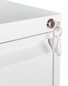 4 Drawer Metal Storage Cabinet White BARITE_929464