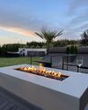 Fire Pit Taupe PAVO II_884954