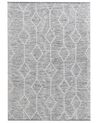 Area Rug Grey with Beige 160 x 230 cm EDREMIT_848866