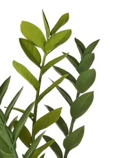 Sztuczna roślina ZAMIIFOLIA 76 cm Zielony_994166