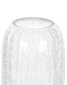Bloemenvaas glas transparant 28 cm KYRAKALI_838033