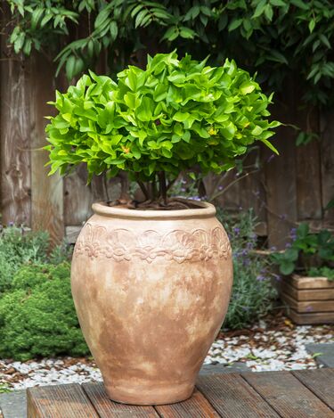 Terracotta Plant Pot ⌀ 48 cm Brown PYRUS