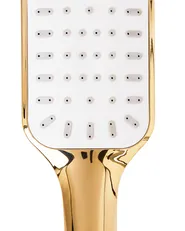 Shower Head and Hose Kit AMAJA Gold_988460