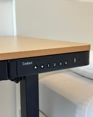 Electric Adjustable Standing Desk PENLY 120 cm x 60 cm with USB Port Black/ Light Brown_1193891