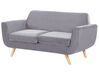 Velvet 2-Seater Sofa Cover Grey BERNES_792884