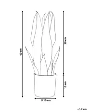 Pianta artificiale SNAKE PLANT 40 cm Verde_822702