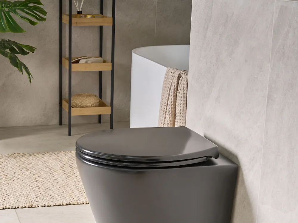 Toilet Seat PAPURI Soft Close Duroplast Black_1187142