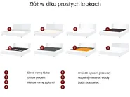 Łóżko wodne Welur AVALLON 160 x 200 cm Różowy_1020657