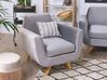 Velvet Armchair Cover Grey BERNES_792848