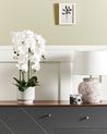 Sztuczna roślina ORCHID 65 cm Biały