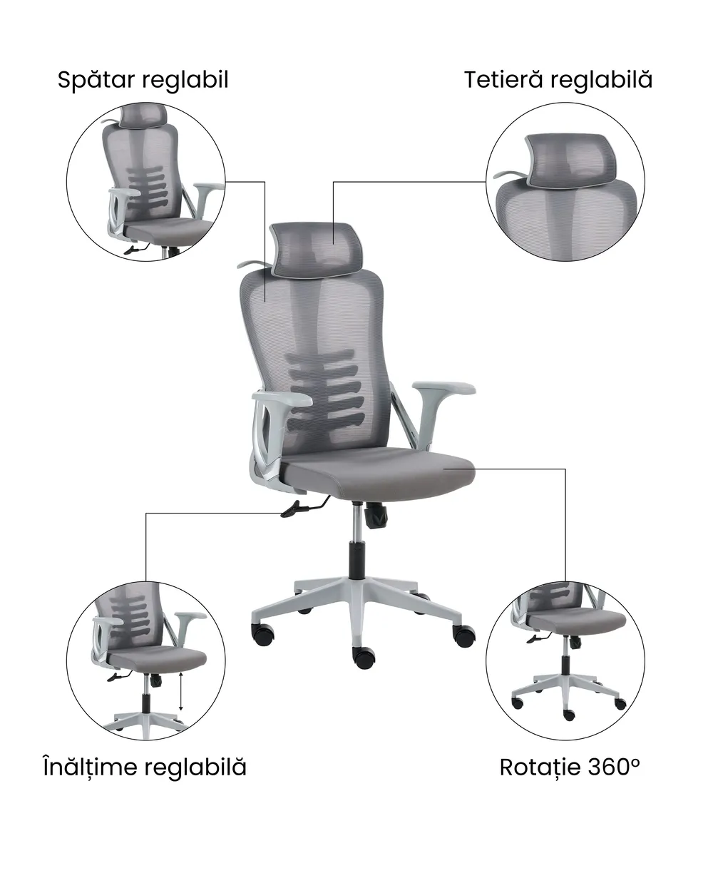 Scaun ergonomic ERGONOX Gri_1071051