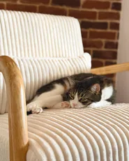 Rocking Chair SORSELE Corduroy White_1039296