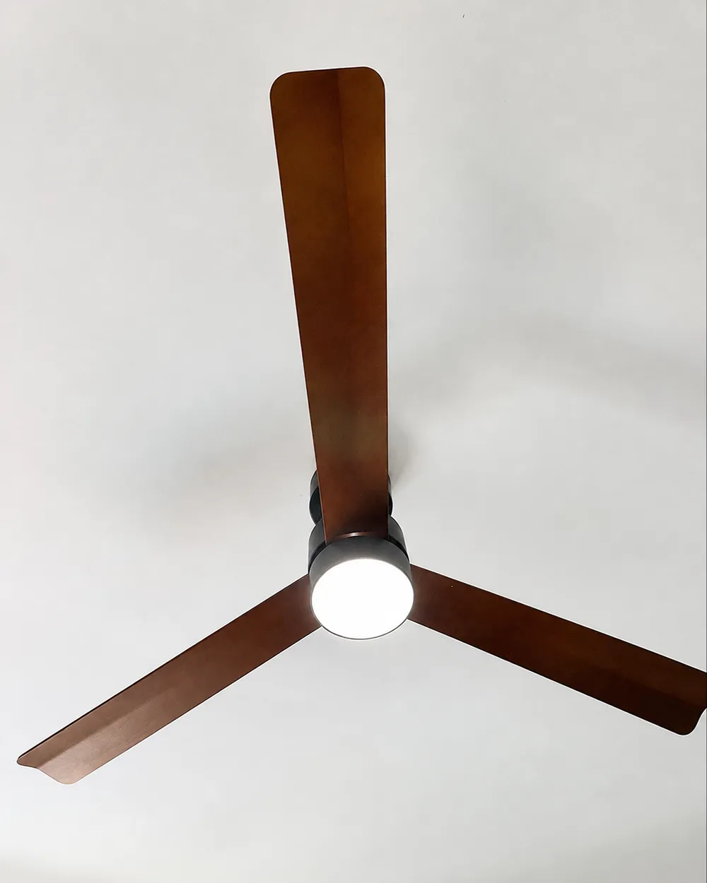 Ventilatore a soffitto con luce JEREMY con telecomando LED Marrone_1129351