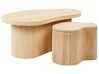 Couchtisch 2er Set Rattan natur asymmetrisch SALANTI_926353