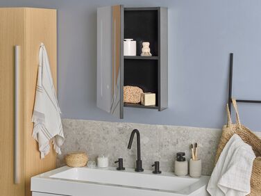Bathroom Wall Mounted Mirror Cabinet with LED 40 x 60 cm Black CAMERON