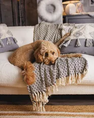 Plaid CHYAMA Bomuld 125 x 150 cm Sort/beige_979162