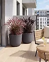 Set of 2 Plant Pots DRABA 44 cm Black