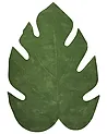 Teppich NAINITAL Grün 160 x 230 cm Wolle
