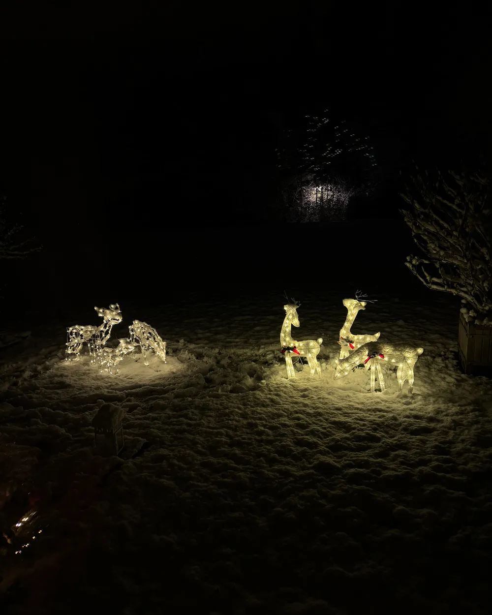 Outdoor Decoration LED ANGELI 92/85/49 cm Reindeer White_895621