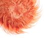 Wanddekoration Federn korallenrot ⌀ 40 cm JUJU_723377