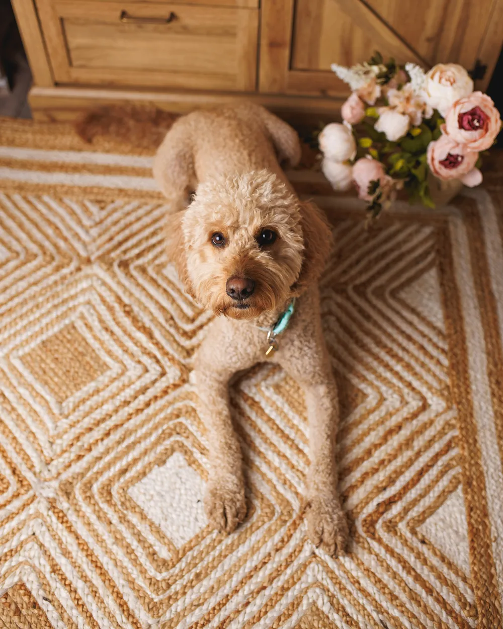 Conforama Alfombra de yute beige 200 x 300 cm KALEKOY Ofertas Hogar y jardín